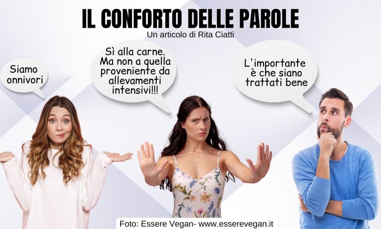 Il conforto delle parole: un articolo scritto da Rita Ciatti
