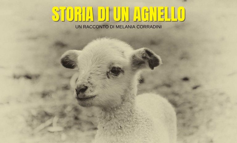 Storia di un agnello è un racconto di Melania Corradini