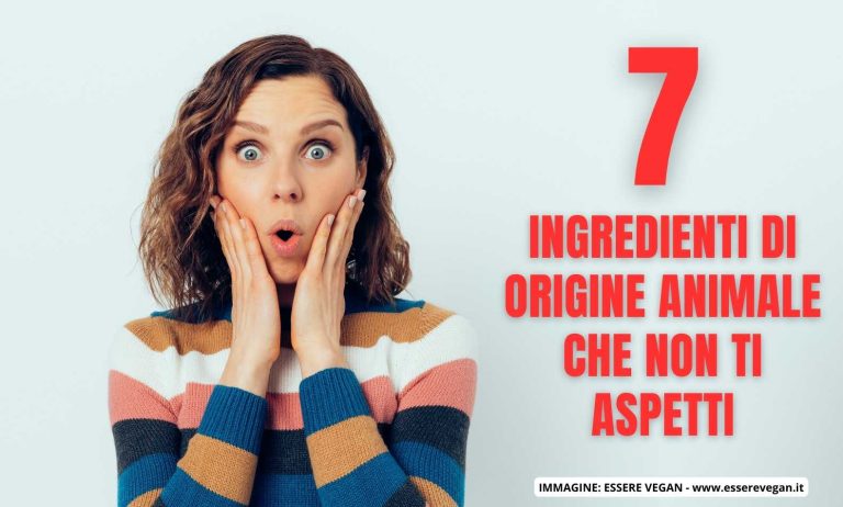 7 ingredienti di origine animale che non ti aspetti