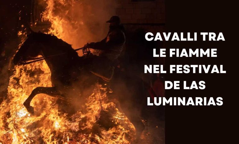Cavalli tra le fiamme nel Festival de Las Luminarias