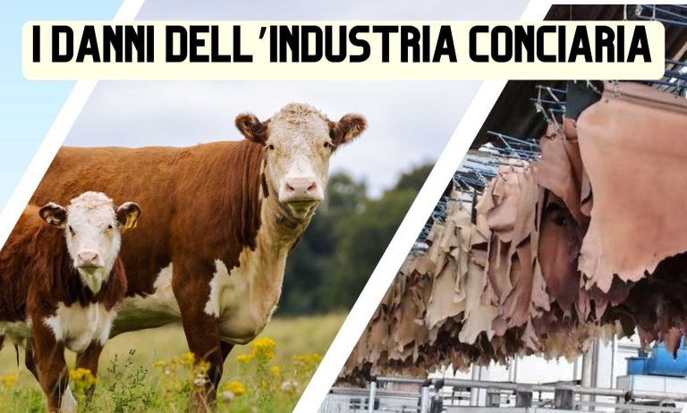 I danni dell'industria conciaria - Un articolo di Melania Corradini