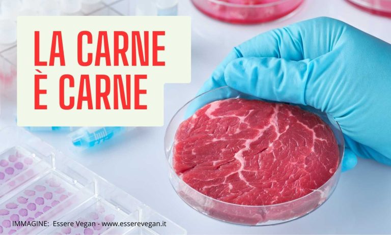 La carne è carne - un articolo scritto da Rita Ciatti