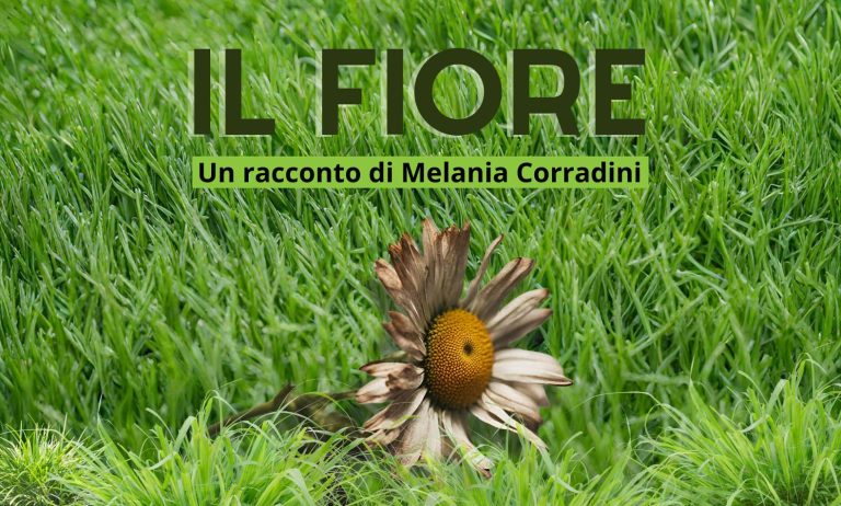 Il fiore è un racconto di Melania Corradini