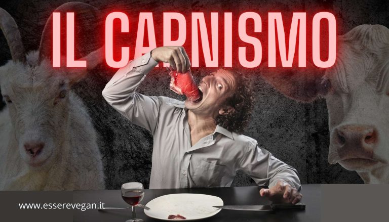 Il carnismo è un sistema di credenze invisibile e pervasivo che promuove l'accettazione e la normalizzazione del consumo di carne