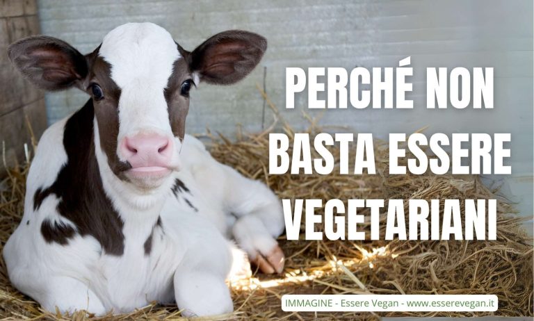 Perchè non basta essere vegetariani