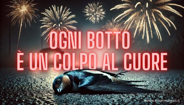 Ogni botto è un colpo al cuore - I danni dei botti di Capodanno