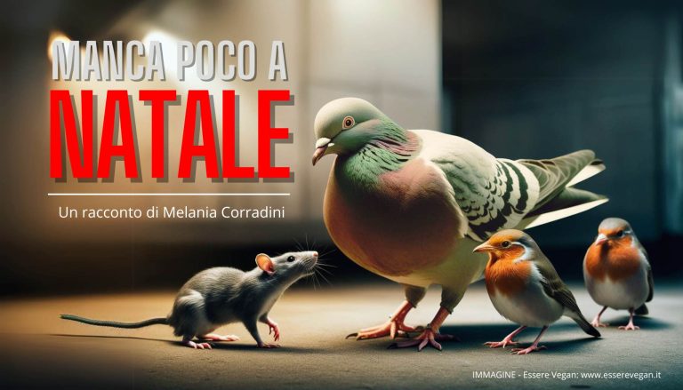 Manca poco a Natale - Un bellissimo racconto di Melania Corradini