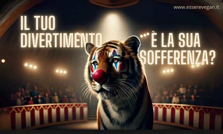 Il circo è un divertimento che costa caro agli animali