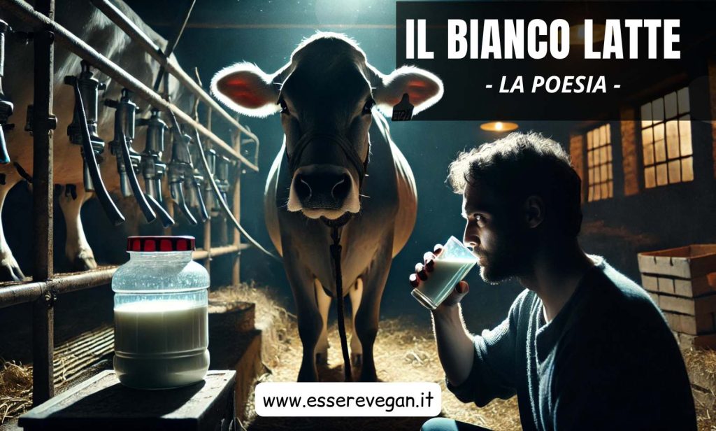 Il bianco latte - Una poesia scritta da Essere Vegan