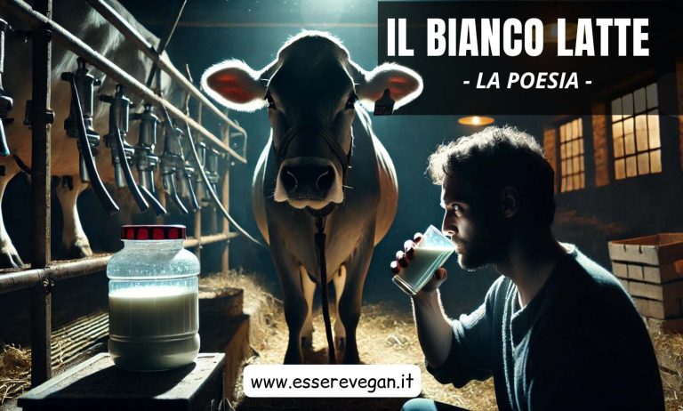 Il bianco latte - Una poesia scritta da Essere Vegan