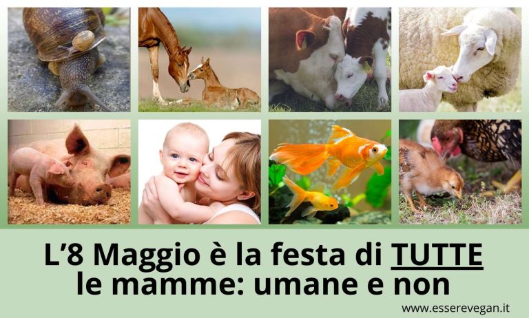 L’8 Maggio è la festa di tutte le mamme: umane e non