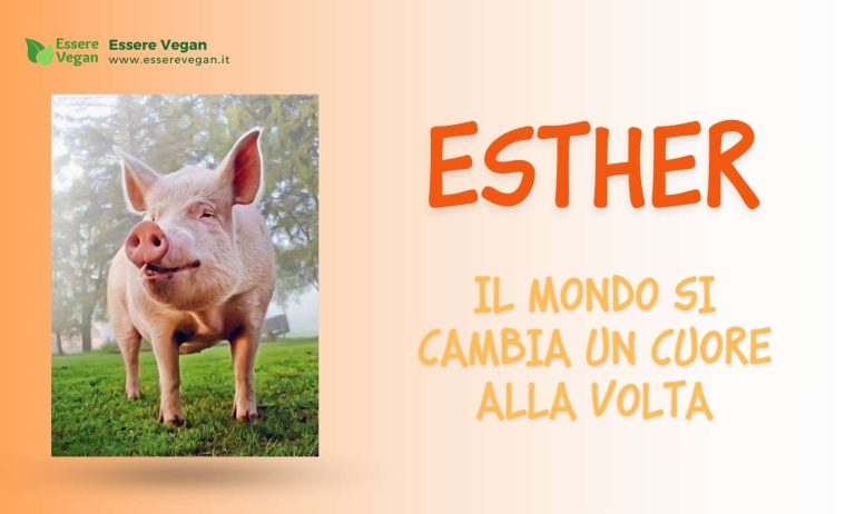 Esther - Il mondo si cambia un cuore alla volta