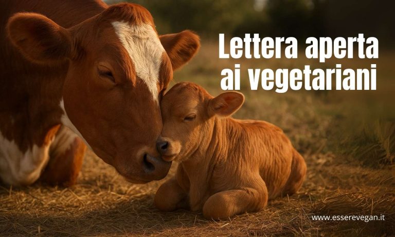 Lettera aperta ai vegetariani