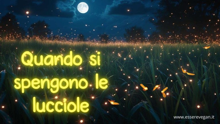 Quando si spengono le lucciole