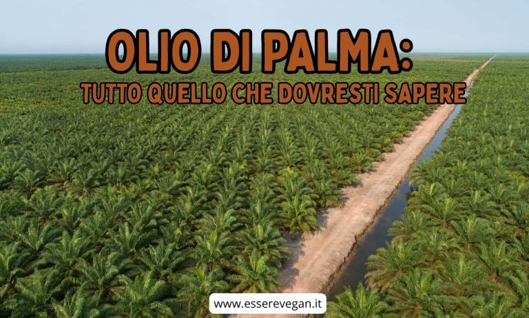 Olio di palma: deforestazione e specie animali minacciate