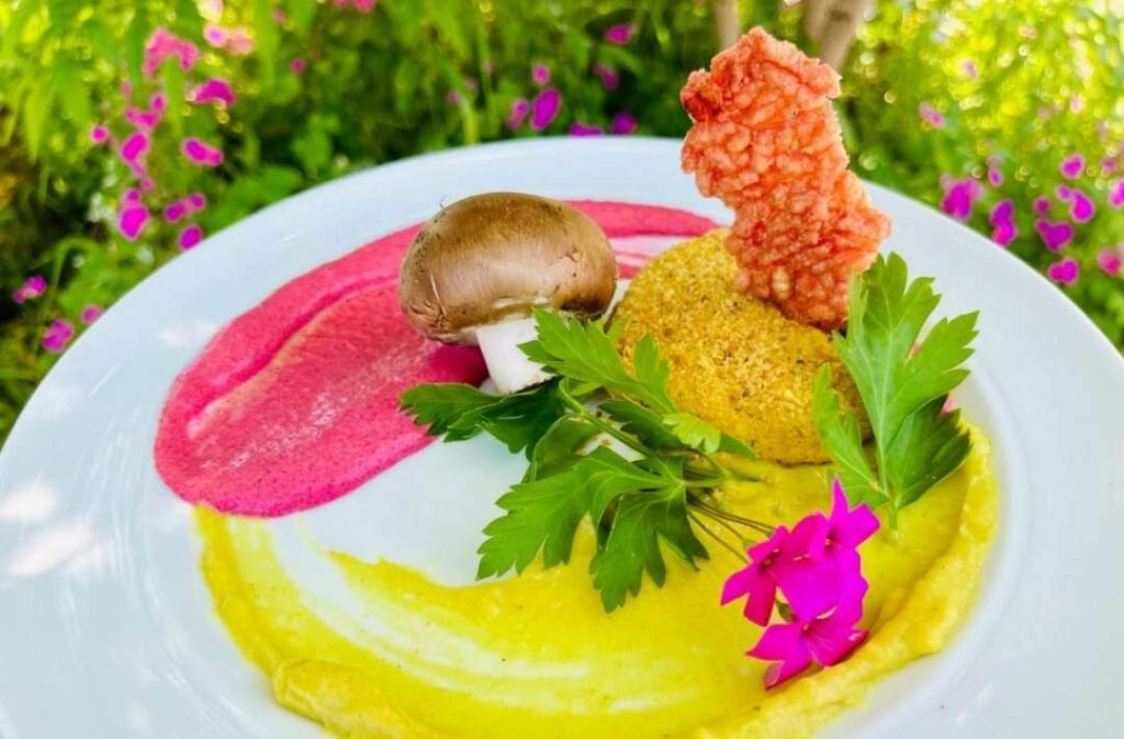 Antipasto vegano agriturismo La Buona Terra a Cervarese Santa Croce