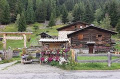 Valfurva