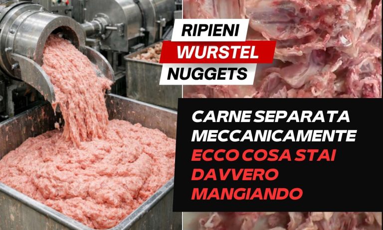 Carne separata meccanicamente